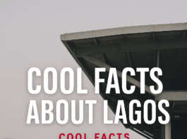 Underside of a modern stadium roof against a pale sky, titled Cool Facts About Lagos