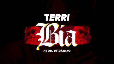 Terri – Bia mp3 image 600x431